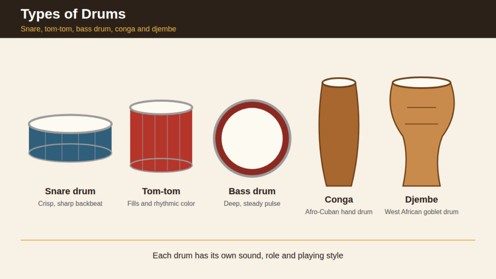 1. types of drums illustration