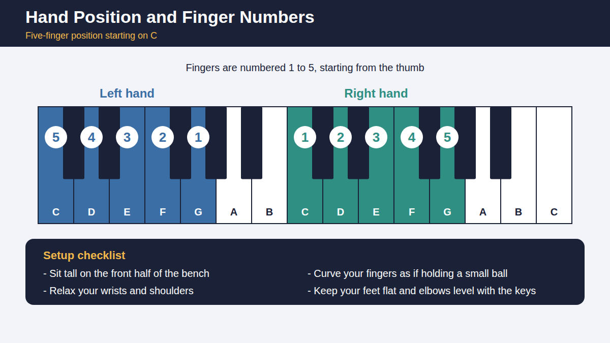 7. piano hand position finger numbers